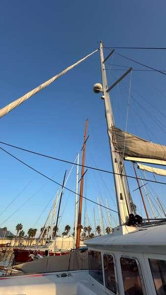 Branchia | Lagoon 450 Fly photo 9
