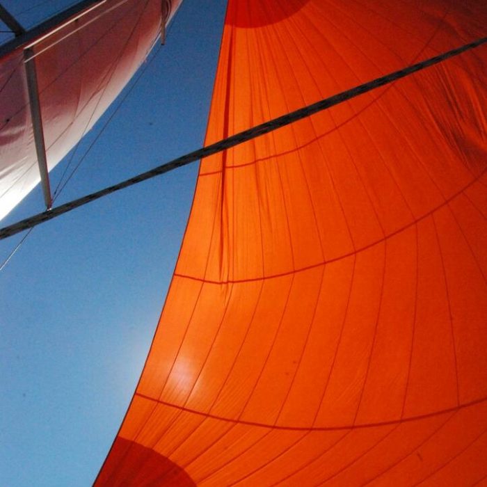 Planaria | Hanse 508 photo 6