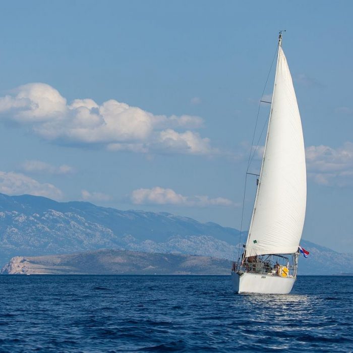 Amica | Dolphin 50 photo 13