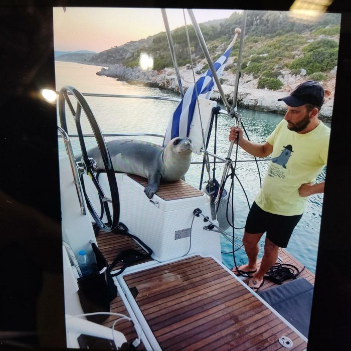 Celene | Sun Odyssey 440 photo 10