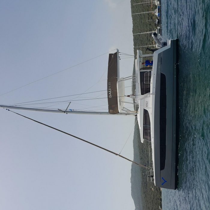 Physeter | Bali 4.8 photo 3