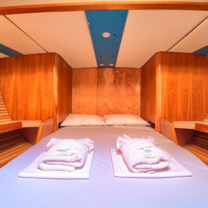 Amica | Dolphin 50 photo 28