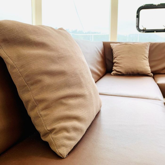Iris | Catlante 600 photo 9