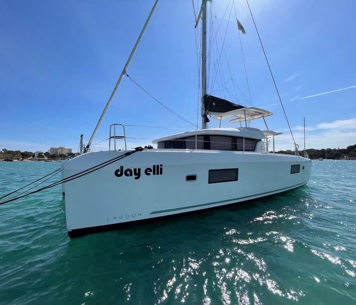 DayElli | Lagoon 42 - 4 + 2 cab. photo 1