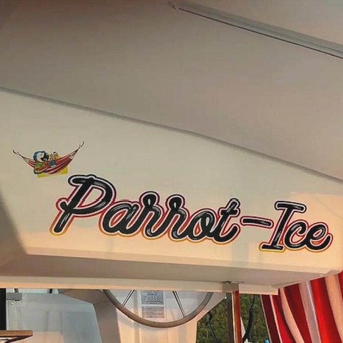 Parrot Ice | Saona 47 photo 26