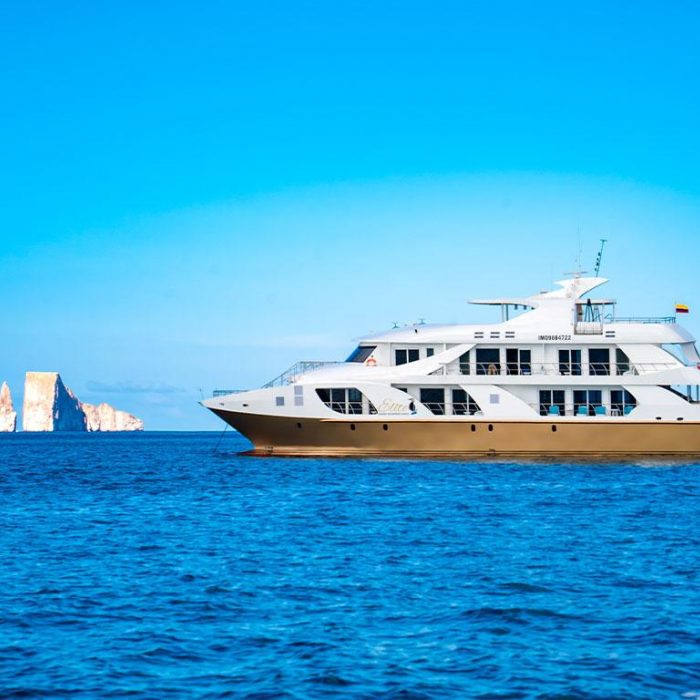 Elite | Power Catamaran photo 2