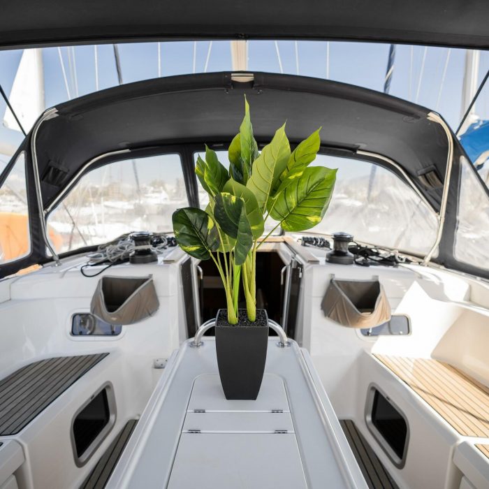 Maryalis | Sun Odyssey 519 photo 15
