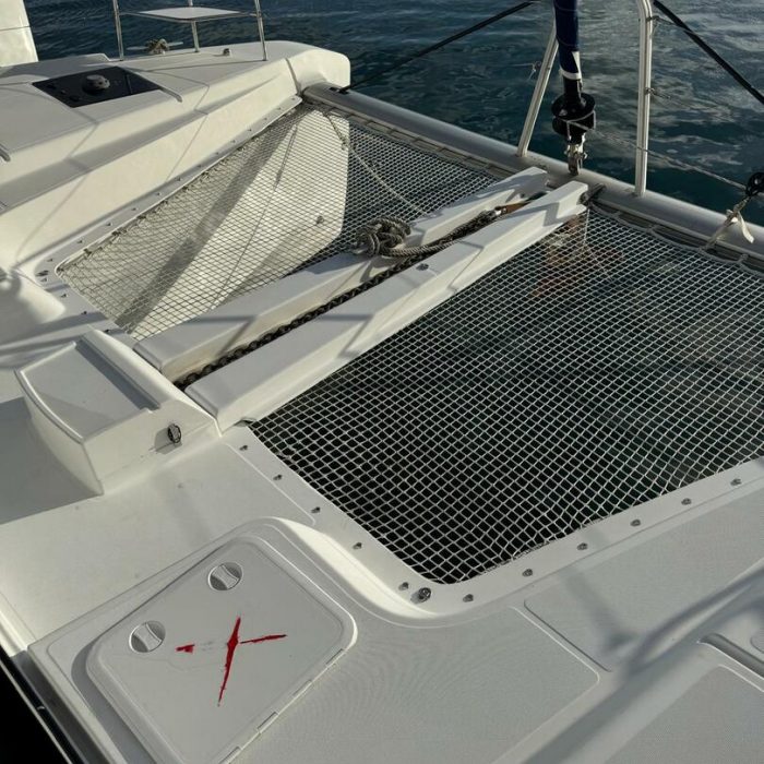 Oscar VII photo 8