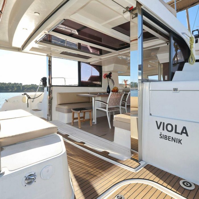 Viola photo 7