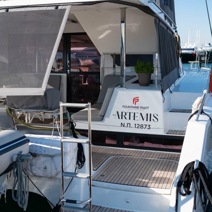 Artemis photo 28