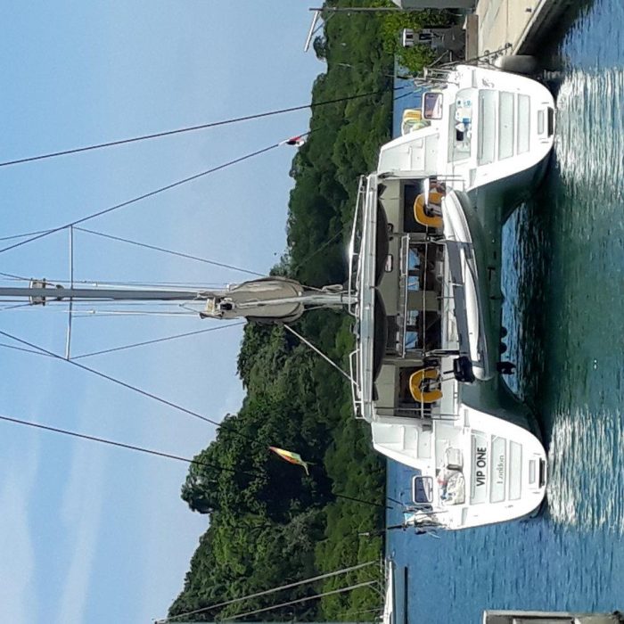 Vip One | Lagoon 500 - 4 cab. photo 15