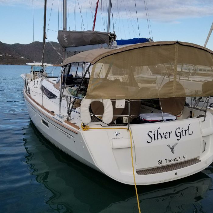 Silver Girl photo 4