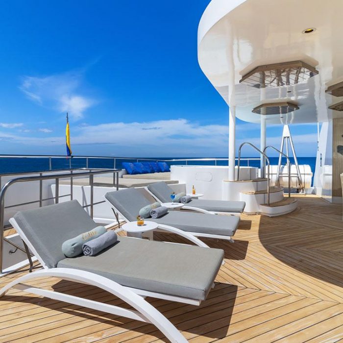 Elite | Power Catamaran photo 3
