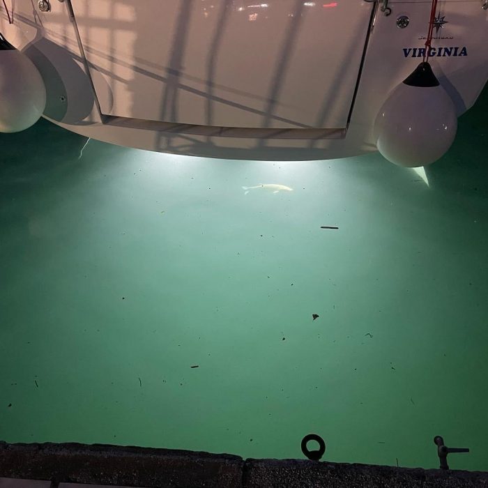 Virginia (A/C, Gen. 10kVA, Watermaker 160L/h, Electric Winch) | Sun Odyssey 440 photo 9