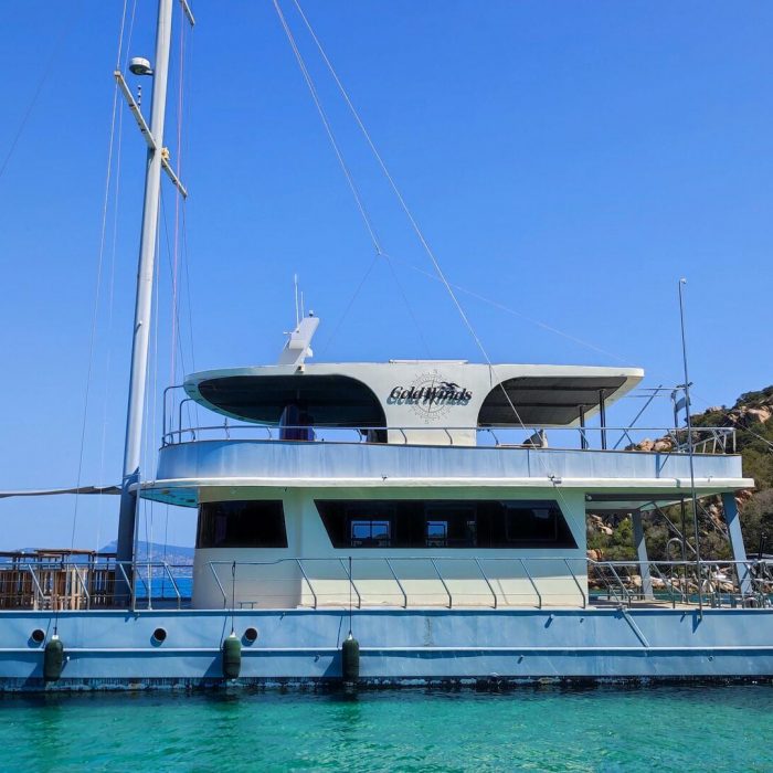 Gold Wind | Catamaran photo 11