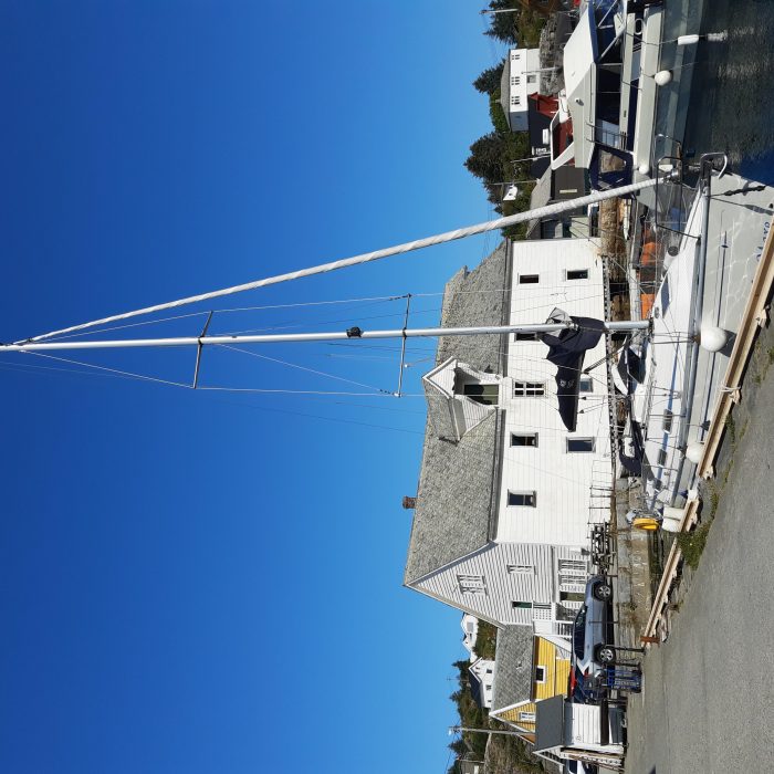 Alto Mare photo 10