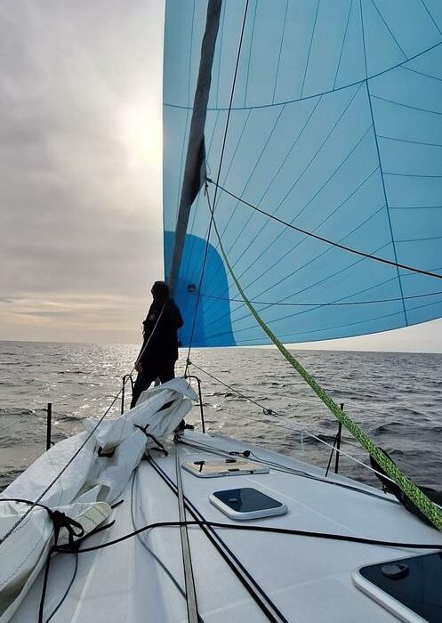 SILVER WAVE | Pogo 36 photo 7
