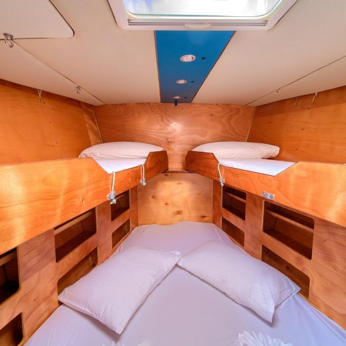 Amica | Dolphin 50 photo 26
