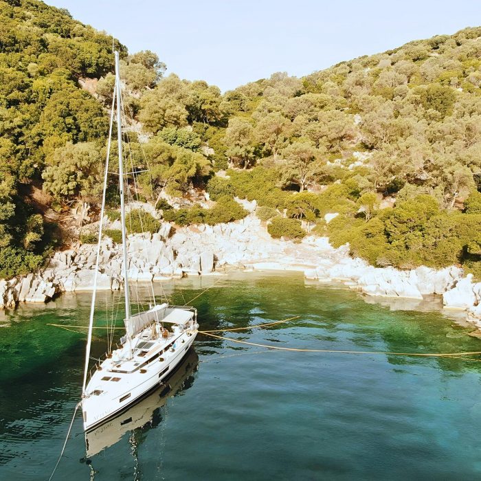 Artemis photo 17