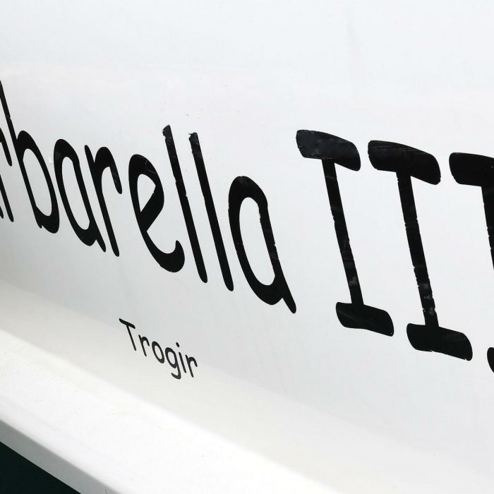Barbarella III | Lagoon 46 photo 51