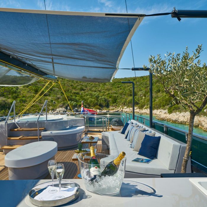 Rara Avis | Luxury Sailing Yacht photo 33