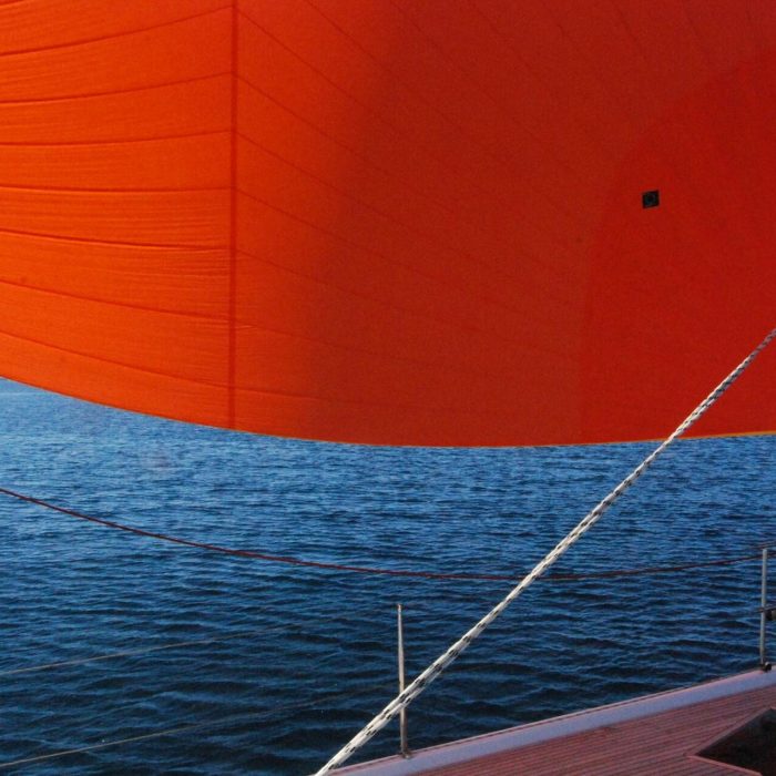 Planaria | Hanse 508 photo 4