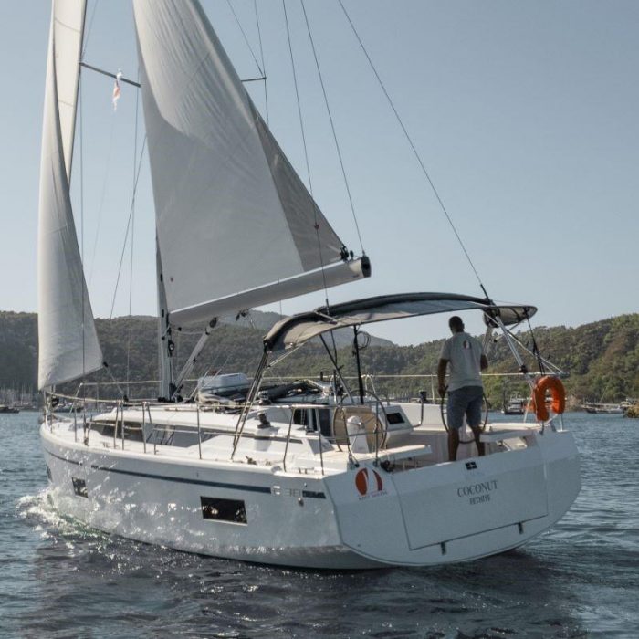 Coconut photo 1