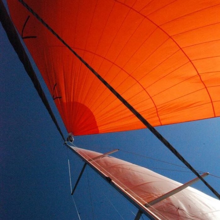 Planaria | Hanse 508 photo 7