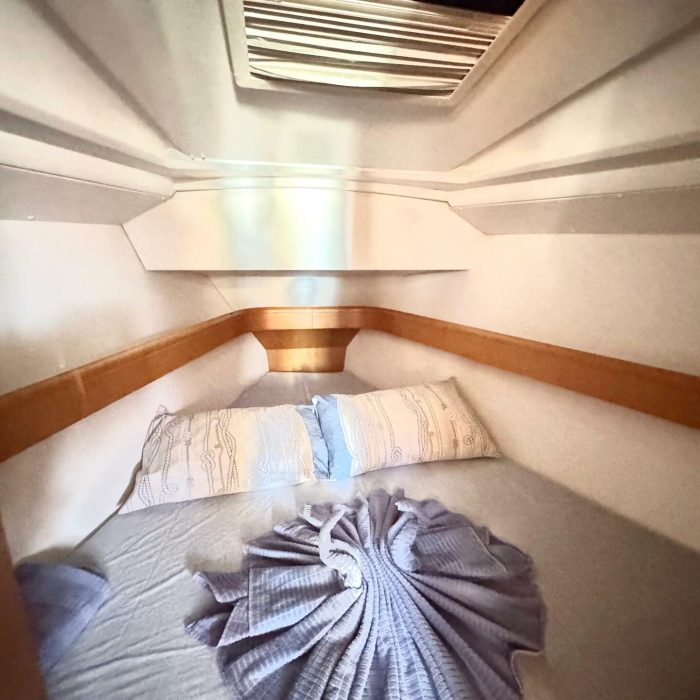 Che | Sun Odyssey 36i photo 10