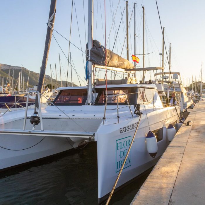 Premium | Aventura 37 photo 12