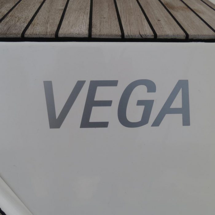 Vega photo 11