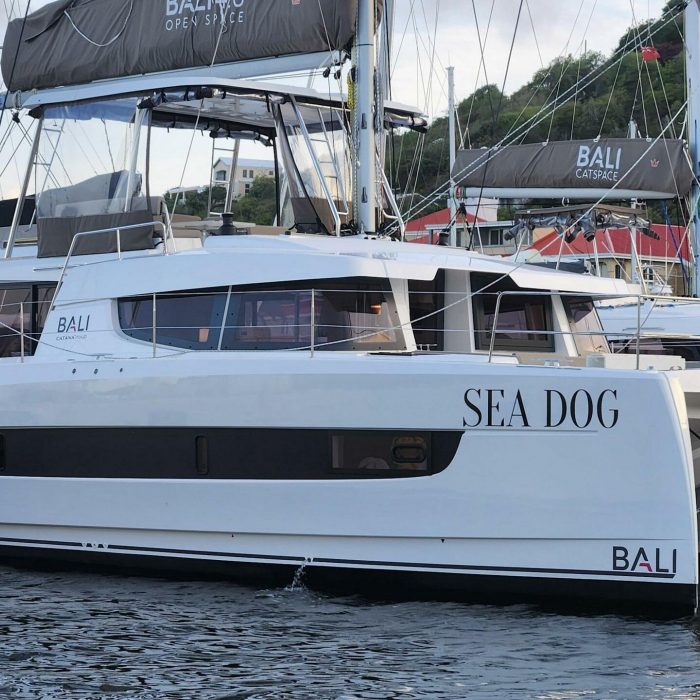Sea Dog photo 4