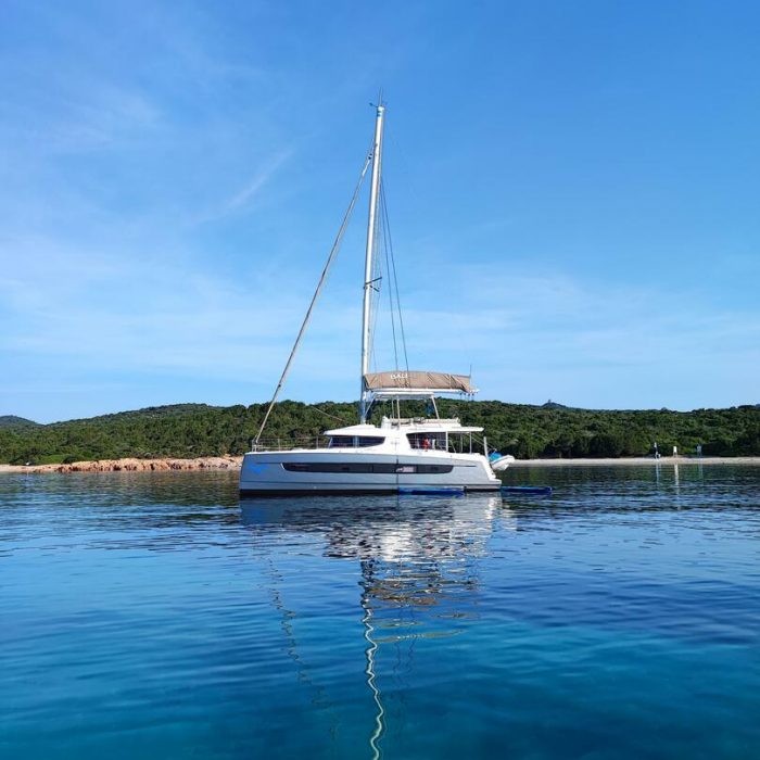 Delphinus | Dufour Catamaran 48 photo 6