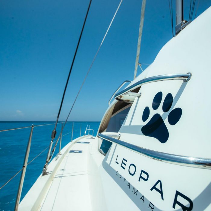 Sunday Kinga | Leopard 48 photo 30