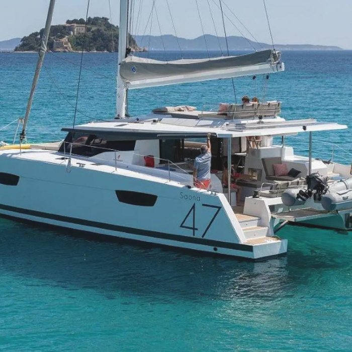 Parrot Ice | Saona 47 photo 1