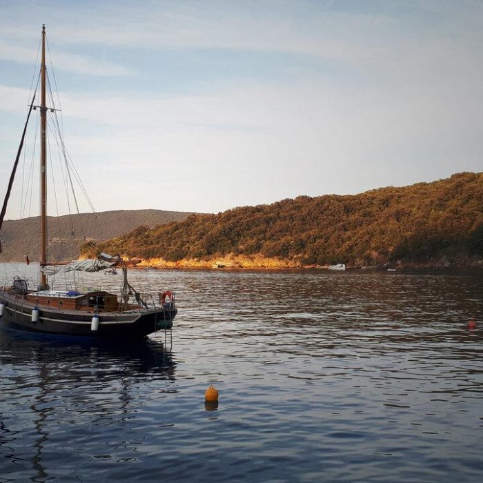 Black Bird | Pilot Cutter photo 7