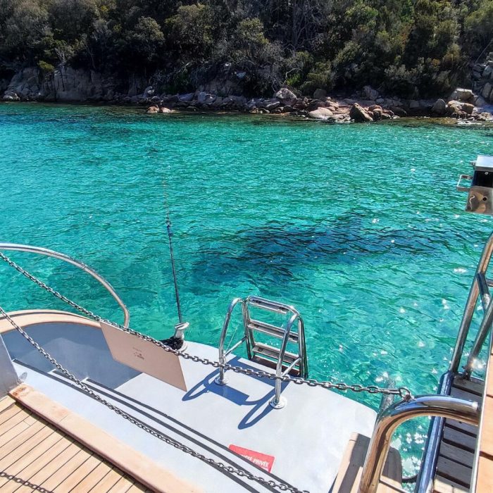 Gold Wind | Catamaran photo 13