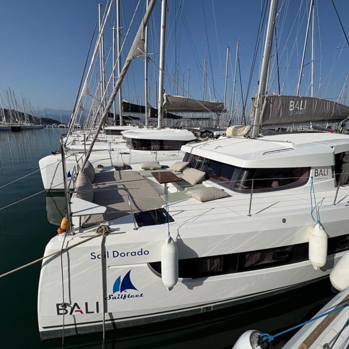 Sail Dorado | Bali Catsmart photo 5