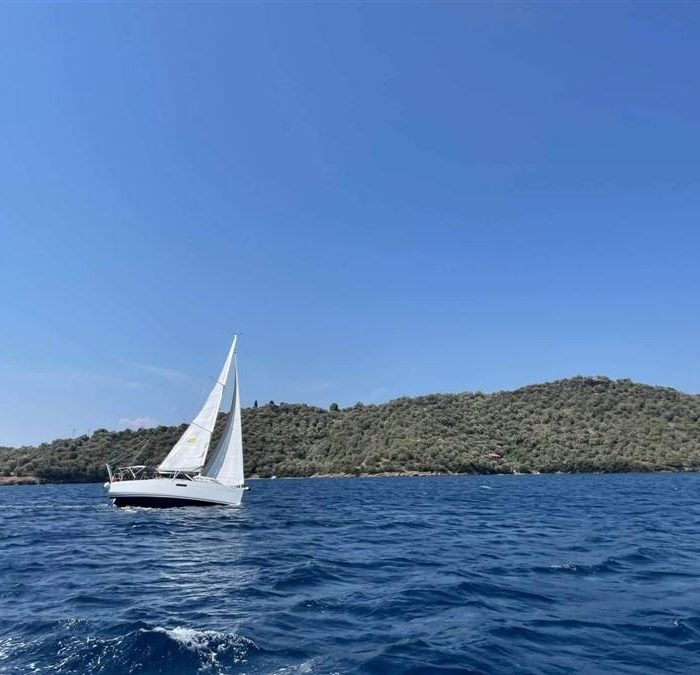 Dimitra | Sun Odyssey 349 photo 3