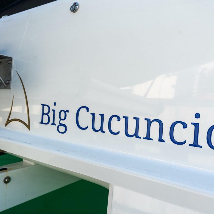 Big Cucuncio - Premium Line | Lagoon 46 photo 38
