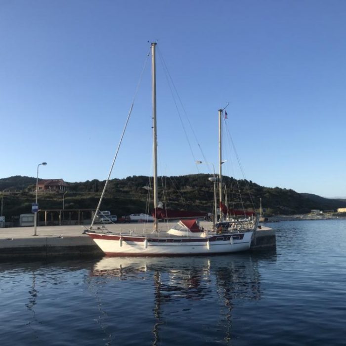 Asterias photo 3