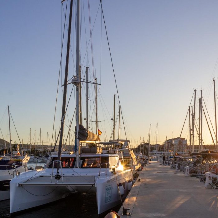 Premium | Aventura 37 photo 23