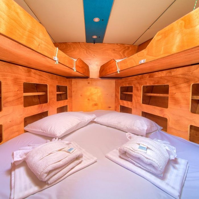 Amica | Dolphin 50 photo 29