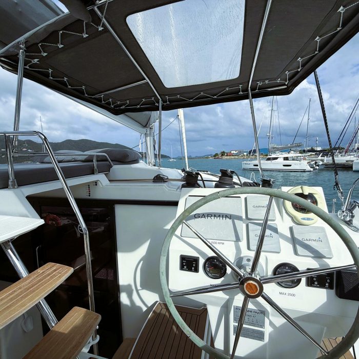 Parrot Ice | Saona 47 photo 5