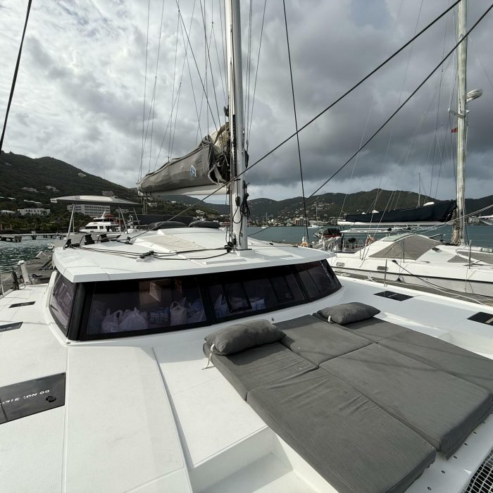 Parrot Ice | Saona 47 photo 3