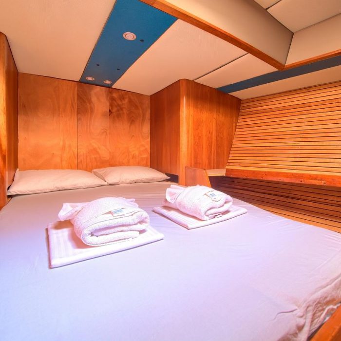 Amica | Dolphin 50 photo 25