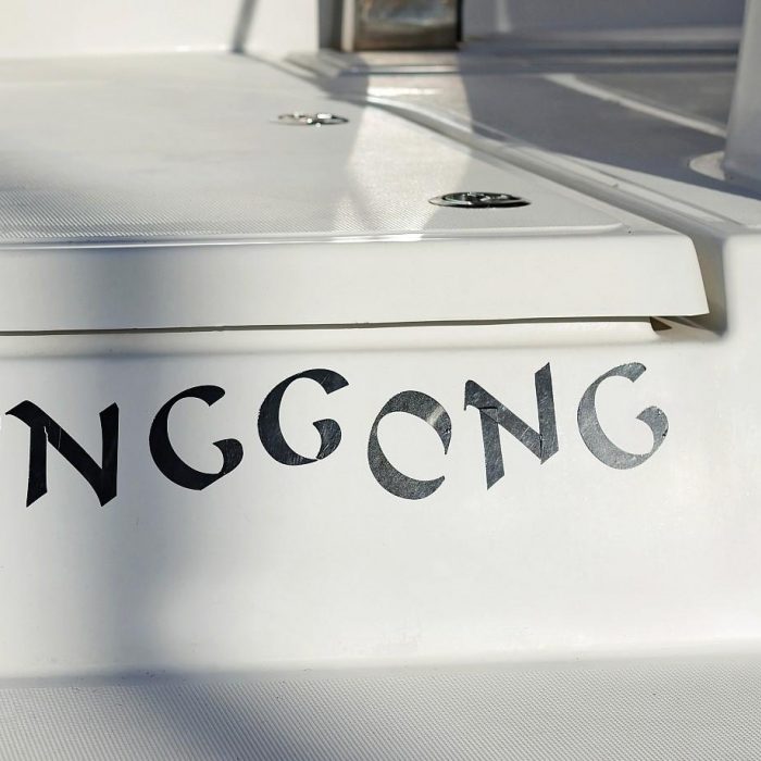 Gonggong | Bali Catspace photo 48