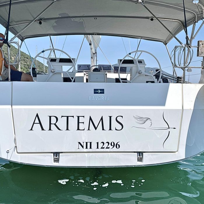 Artemis photo 14