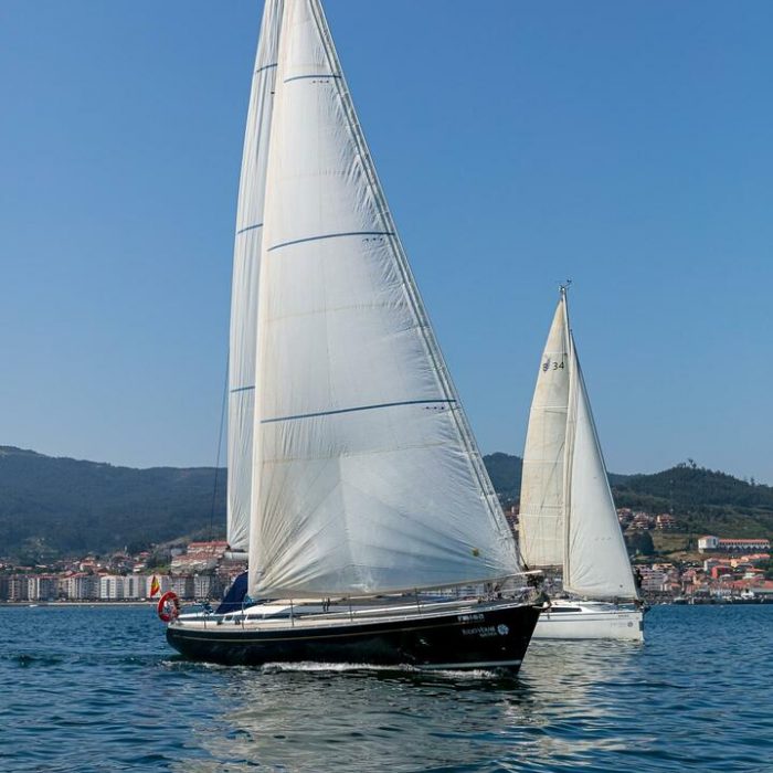 Nemo | Grand Soleil 43 photo 7