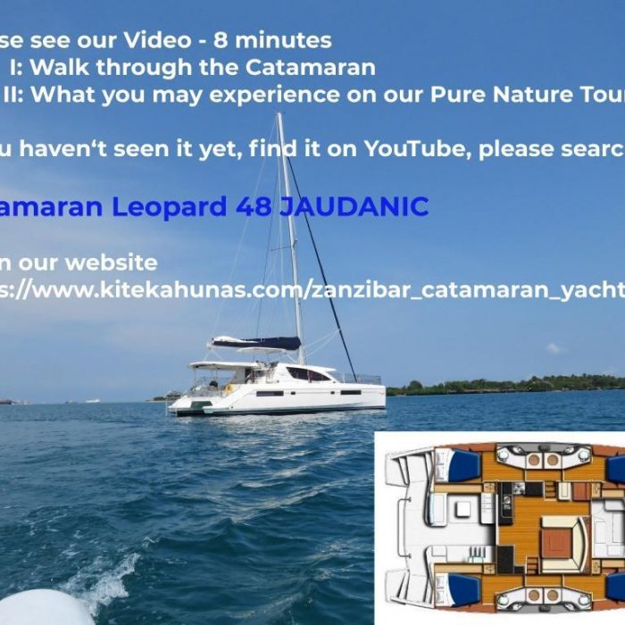 Premium | Leopard 48 photo 52